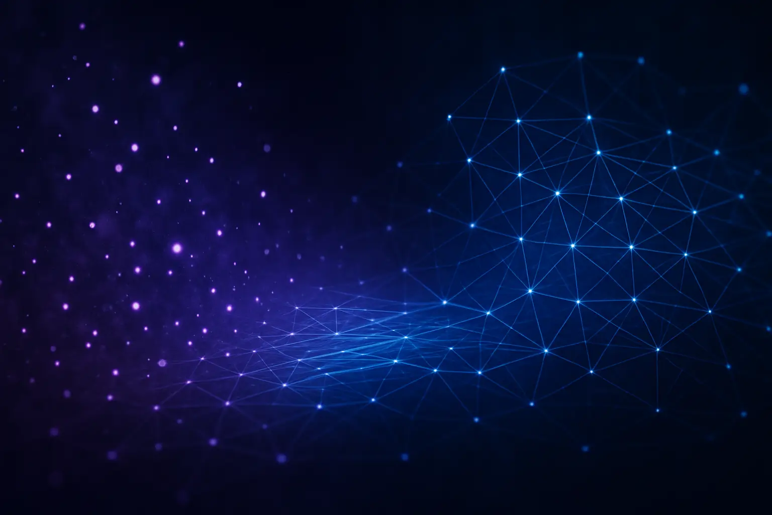 Retail Information System Transformation